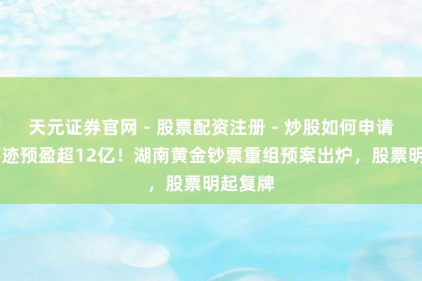 天元证券官网 - 股票配资注册 - 炒股如何申请杠杆 事迹预盈超12亿！湖南黄金钞票重组预案出炉，股票明起复牌