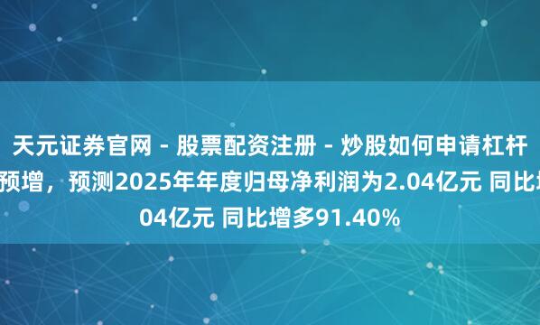 天元证券官网 - 股票配资注册 - 炒股如何申请杠杆 炬芯科技发预增，预测2025年年度归母净利润为2.04亿元 同比增多91.40%